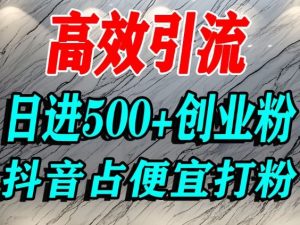 怎么打创业粉?抖音利用占便宜心理引流创业粉,单人日引500+精准流量-网创项目