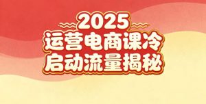 2025小红书运营电商课：新手实战＋冷启动＋流量揭秘-网创项目