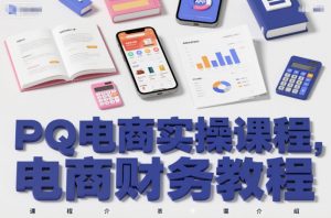 PQ电商实操课程，电商财务教程-网创项目