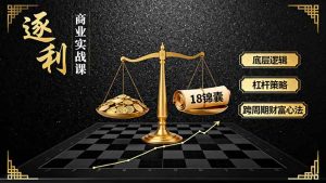 《逐 利》商业实战课，底层逻辑、杠杆策略、18锦囊，跨周期财富心法(更新-网创项目