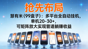 抢先布局慧有米(99盒子)：多平台全自动挂机，单机20-30+，可矩阵实现管道躺赚-网创项目