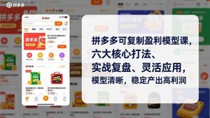 拼多多可复制盈利模型课，六大核心打法、实战复盘、灵活应用，模型清晰，稳定产出高利润-网创项目