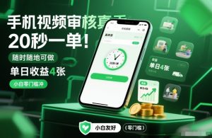 手机视频审核真香！20秒一单，随时随地可做，单日收益4张，小白零门槛冲【揭秘】-网创项目