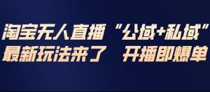 淘宝无人直播完整教程，公试+私域，最新玩法来了，开播即爆单-网创项目