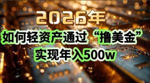 2026年如何轻资产通过“撸美金”实现年入500w-网创项目