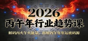 公众号付费文章：2026丙午年行业趋势课：解码丙火午火能量，拆解丙午年年运密码源-网创项目
