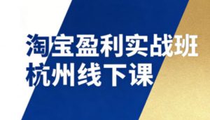 淘宝盈利实战班杭州线下课12月26-28日(音频+字幕)，帮你掌握SOP流程+12门核心技术-网创项目
