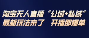 淘宝无人直播最新玩法,包含私域和公域两种玩法-网创项目