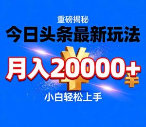 今日头条代运营最新玩法，轻轻松松月入20000＋-网创项目