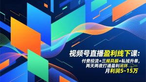 视频号直播盈利线下课：付费投流+三频共振+私域升单，两天两夜打通盈利闭环，月利润5-15万-网创项目