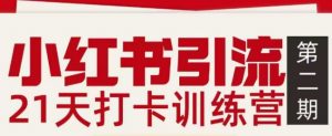 小红书引流21天打卡训练营第二期，助你快速打通小红书私域引流打粉-网创项目