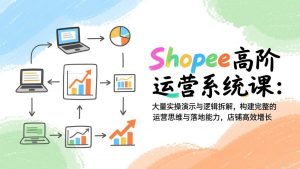 Shopee高阶运营系统课：大量实操演示与逻辑拆解，构建完整的运营思维与落地能力，店铺高效增长-网创项目