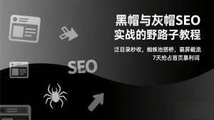 黑帽与灰帽SEO实战的野路子教程：泛目录秒收，蜘蛛池搭桥，霸屏截流，7天抢占首页暴利词-网创项目
