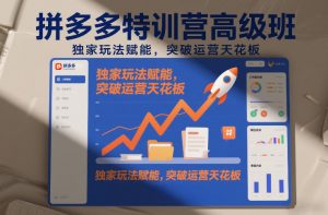 拼多多特训营高阶班，独家玩法赋能，突破运营天花板(更新26年1月)-网创项目