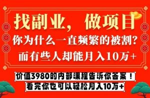 价值3980的网创内部课程,告诉你互联网创业月入10个W的秘密【揭秘】-网创项目