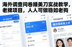 海外调查问卷賺美刀实战教学,老牌项目,人人可做稳如老狗-网创项目