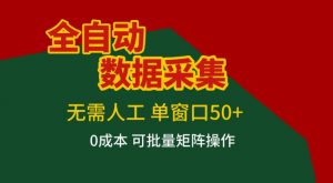 全自动数据采集，无需人工，单窗口50+，0成本可批量矩阵操作【揭秘】-网创项目