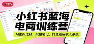 小红书蓝海电商训练营：AI虚拟选品，批量笔记，打造睡后收入系统-网创项目