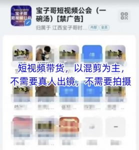 宝子哥头部团队短视频带货，以混剪为主，不需要真人出镜，不需要拍摄【更新26年1月】-网创项目