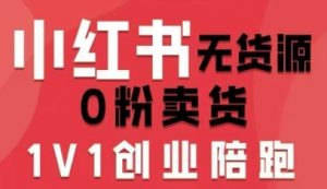 小红书无货源0粉电商课，开店准备、选品策略、笔记撰写、视频剪辑、数据分析、账号打造、资料文档(更新26年1月)-网创项目
