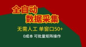 全自动数据采集项目，无需人工，单窗口可达50+收益，操作简单无难度，一个人也能轻松实现矩阵【揭秘】-网创项目