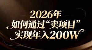 站在2026年的十字路口：一个普通人如何通过卖项目实现年入200万-网创项目