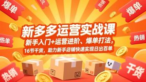 拼多多运营实战课，新手入门+运营进阶、爆单打法，16节干货，助力新手店铺快速实现日出百单-网创项目