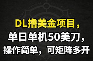 DL撸美金项目，单日单机50美刀，操作简单，可矩阵多开-网创项目