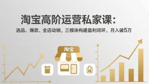 淘宝高阶运营私家课：选品、爆款、全店动销，三模块构建盈利闭环，月入破5万(更新26年2月-网创项目