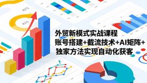 外贸新模式实战课程-更新2月，账号搭建+截流技术+AI矩阵+独家方法实现自动化获客-网创项目