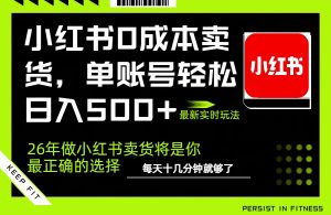 小红书0成本AI卖货，单账号轻松日入500+，完全托管AI，可矩阵放大-网创项目