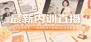最新内训直播，4天系统教学，一线实战派干货核心玩法全套复盘-网创项目