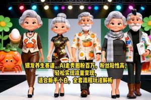 银发养生赛道，AI走秀圈粉百万，粉丝粘性高，轻松实现流量变现，适合新手小白，全套流程玩法解析-网创项目