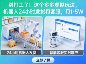 别打工了！这个多多虚拟玩法，机器人24小时发货和客服，月1-5W【揭秘】-网创项目