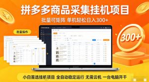 拼多多商品信息全自动采集项目，批量可矩阵，单机轻松日入300+，无需云机一台电脑开干【揭秘】-网创项目