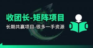 【团长合作】视频矩阵项目_招发手矩阵+剪辑师，共赢项目【揭秘】-网创项目
