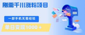 刚需千川涨粉项目，一部手机无需技术，单日变现1k+，当天做当天见收益【揭秘】-网创项目