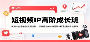 短视频IP高阶成长班：拆解小红书底层流量逻辑，对标选题+拍摄剪辑+ 精准引流实战教学-网创项目
