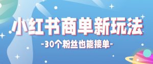合新手小白操作的小红书商单新玩法，低粉丝也能接单，一个月接三单赚了150+！-网创项目