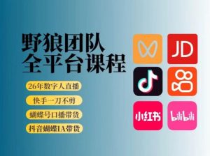 野狼团队2026新版全平台短视频带货教学，打开流量突破口，开始Ai带货(更新26年4月25日)-网创项目