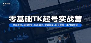 零基础TK起号实战营：环境搭建+ 刷机配置+对标筛选+剪辑实操+账号变现，零门槛玩转-网创项目