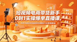 短视频电商带货新手0到1实操爆单直播课，手把手教你短视频带货爆技巧出单搞佣金-网创项目