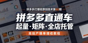 拼多多打爆班原创技术第60期,拼多多直通车,起量・矩阵・全店托管,高投产爆单增收教程-网创项目