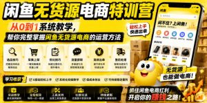 闲鱼无货源电商特训营,从0到1系统教学,帮你完整掌握闲鱼无货源电商的运营方法-网创项目