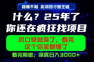26年,请不要疯狂的找项目做了!卖项目才是真的稳賺不赔,看完照做,保底日入1k+【揭秘】-网创项目